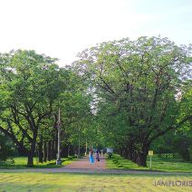Central Botanical Garden of Minsk