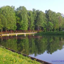 Central Botanical Garden of Minsk