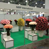NIRP International (Italy)